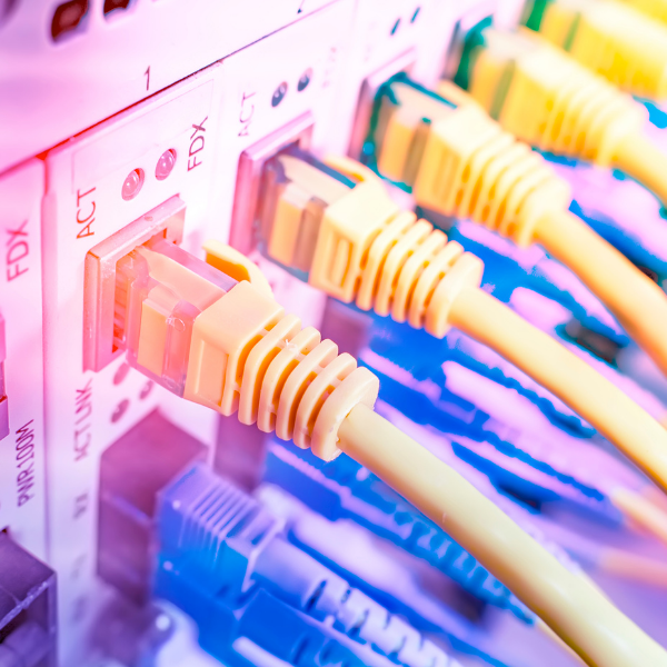 Network Kablosu